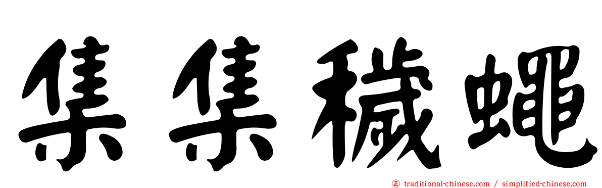 集集穢蠅