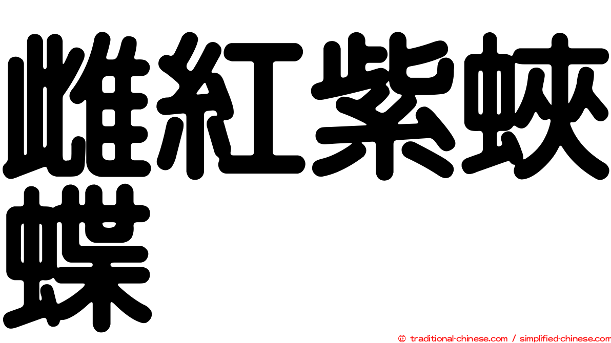 雌紅紫蛺蝶