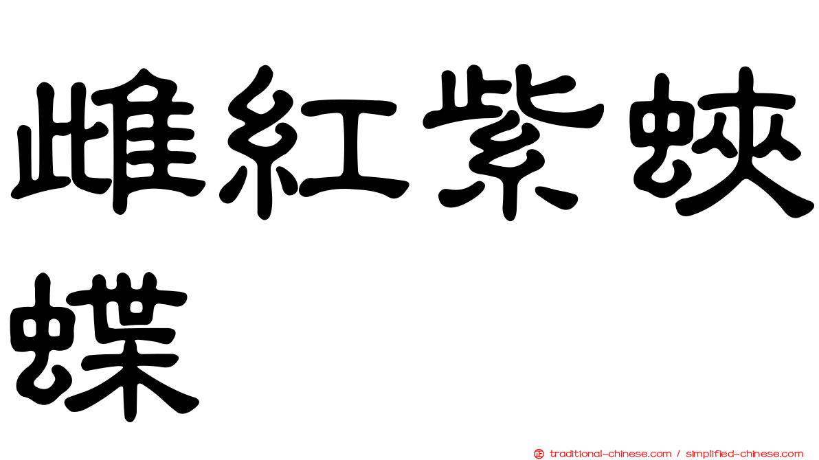 雌紅紫蛺蝶