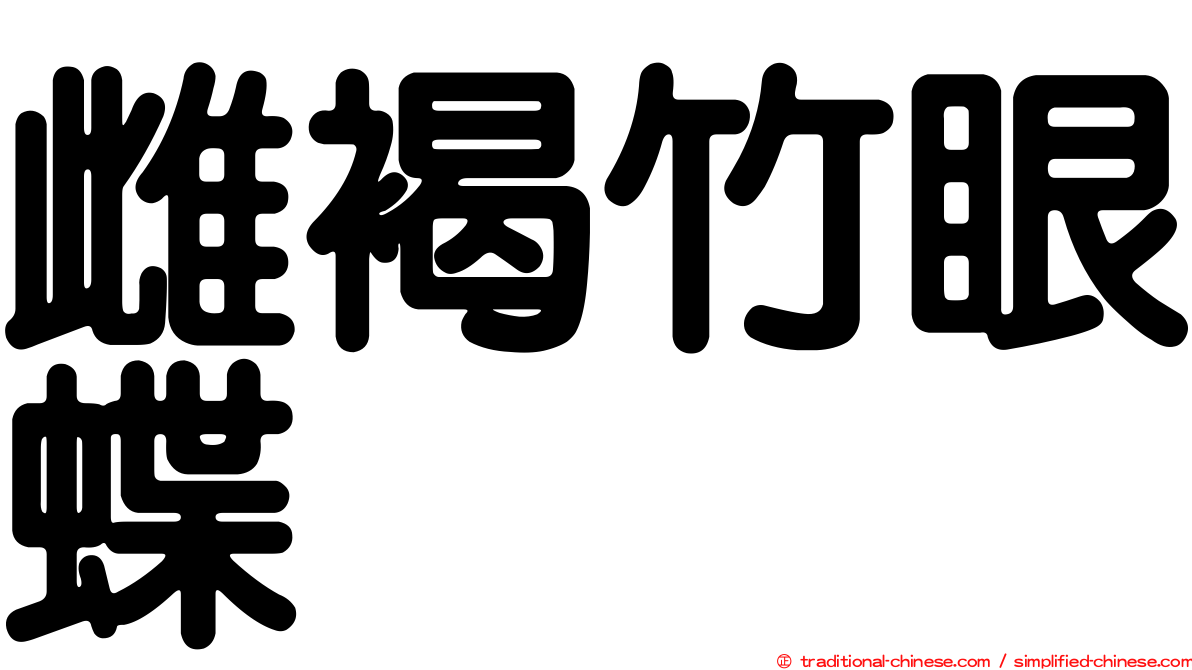 雌褐竹眼蝶