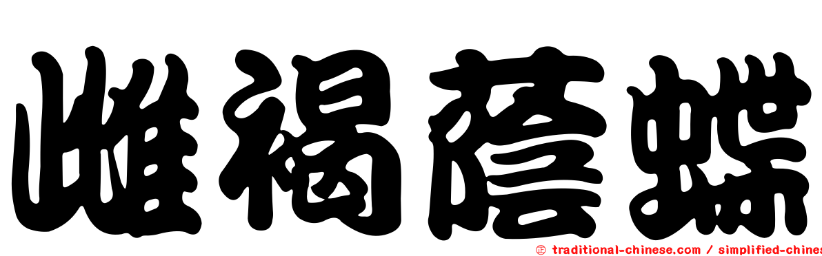 雌褐蔭蝶