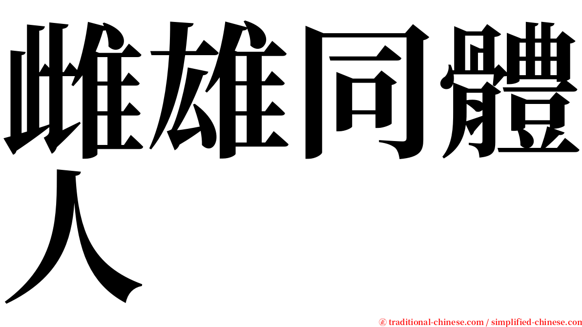 雌雄同體人 serif font