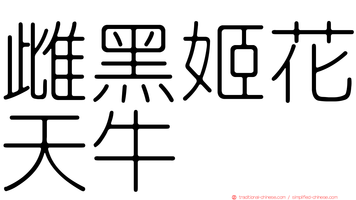 雌黑姬花天牛