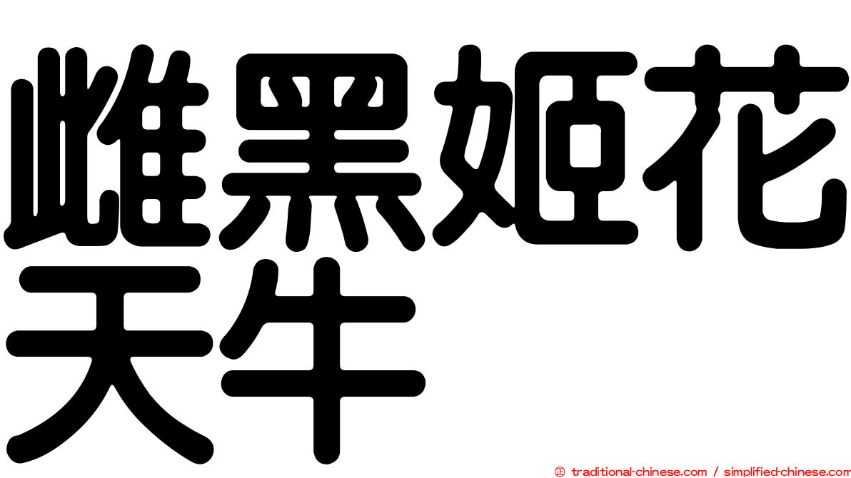 雌黑姬花天牛