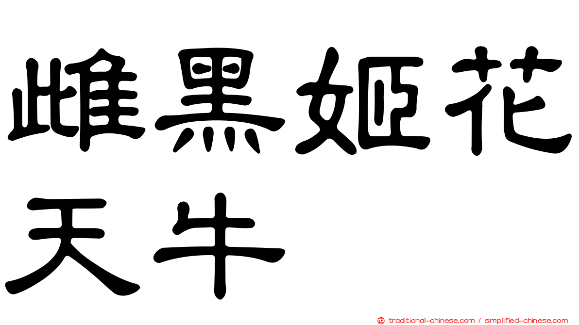 雌黑姬花天牛