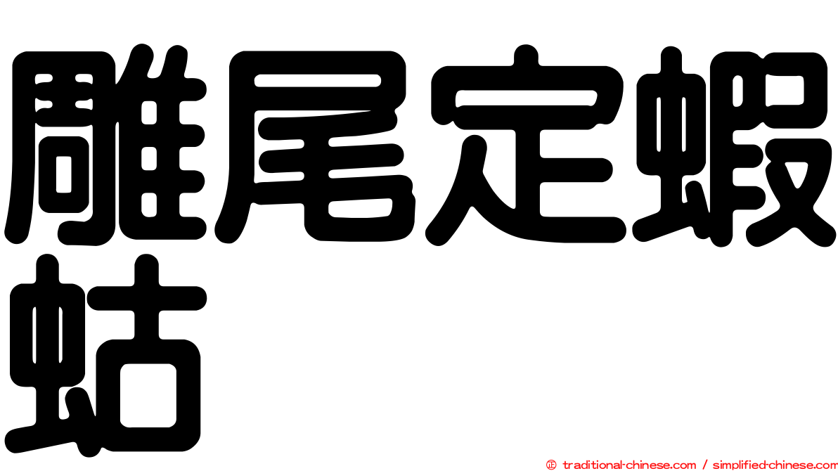 雕尾定蝦蛄