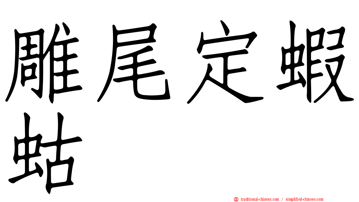 雕尾定蝦蛄