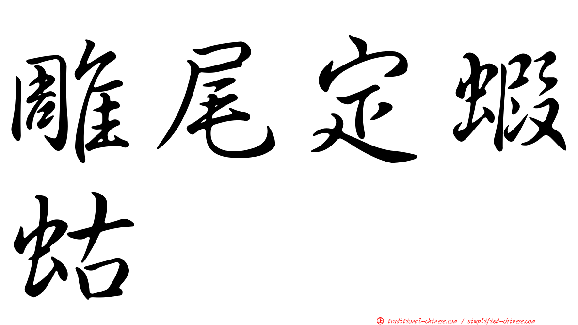 雕尾定蝦蛄