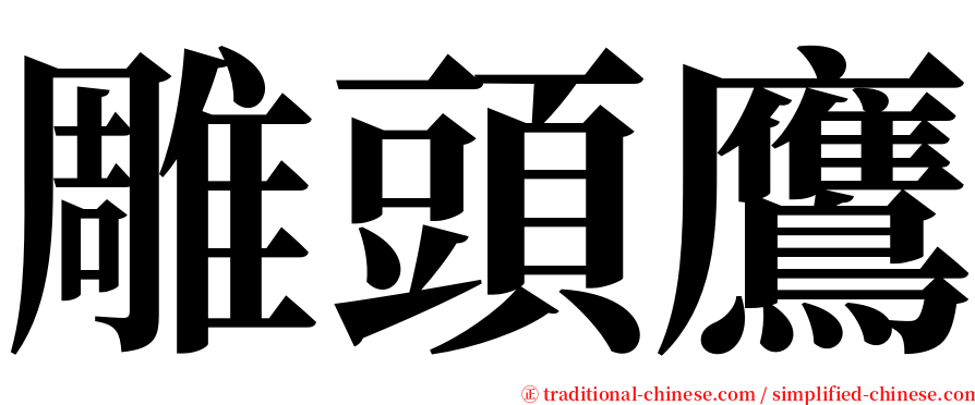 雕頭鷹 serif font