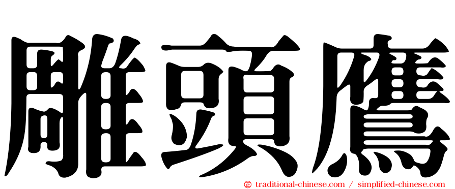 雕頭鷹