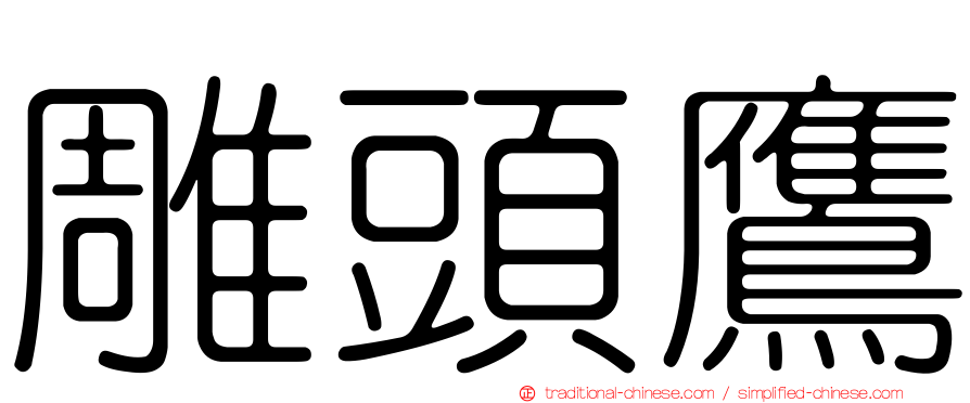 雕頭鷹