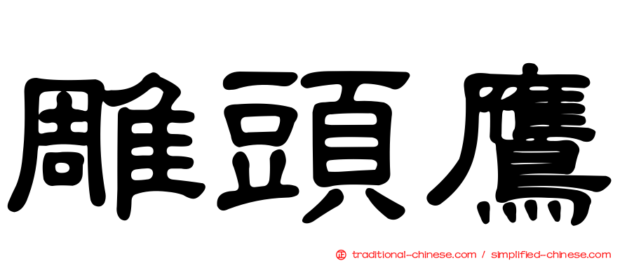 雕頭鷹