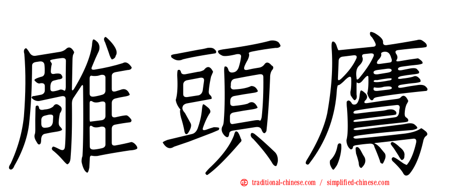 雕頭鷹