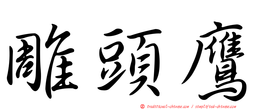 雕頭鷹