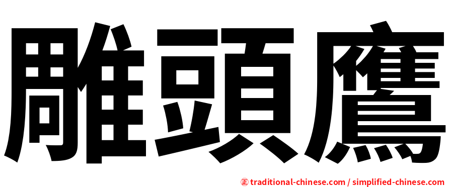 雕頭鷹