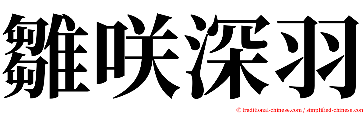 雛咲深羽 serif font
