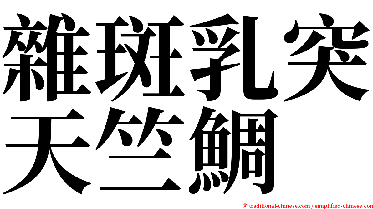 雜斑乳突天竺鯛 serif font