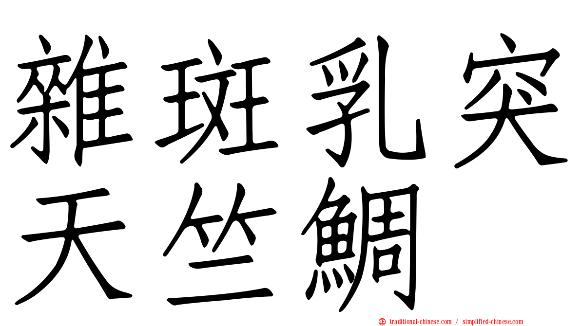 雜斑乳突天竺鯛