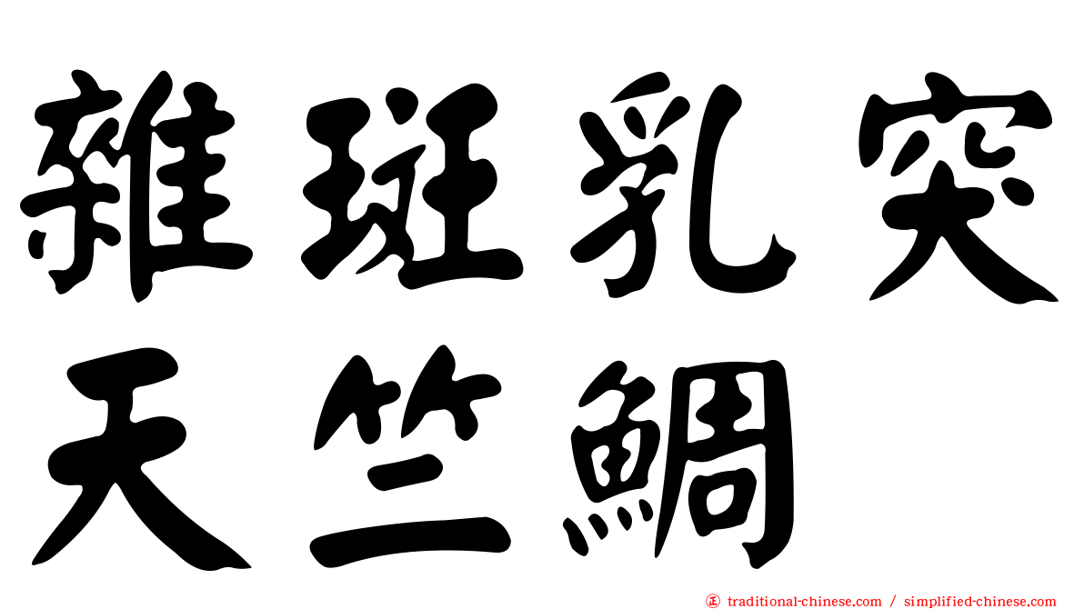 雜斑乳突天竺鯛