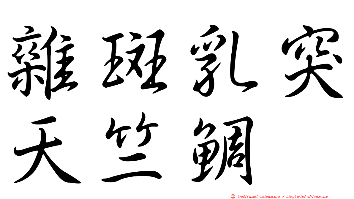雜斑乳突天竺鯛