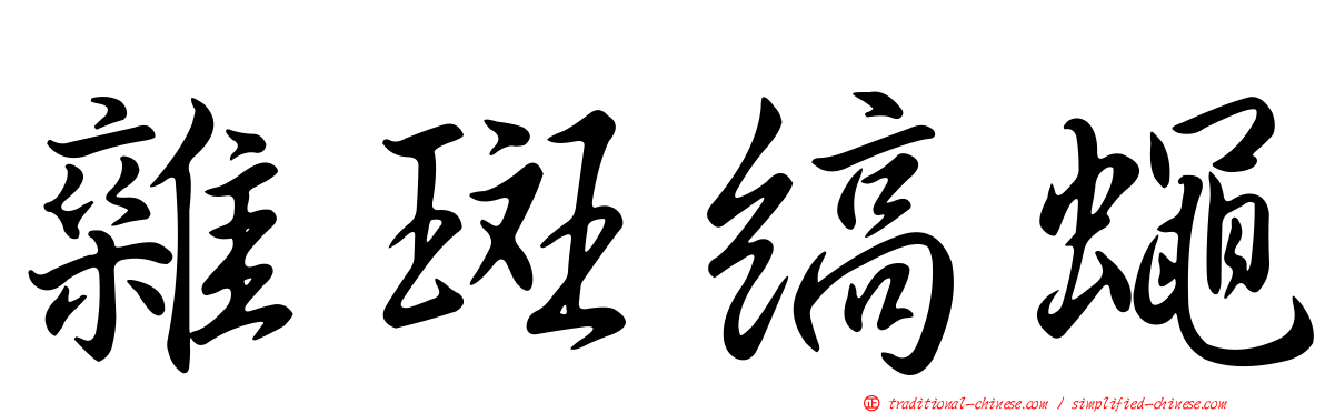 雜斑縞蠅