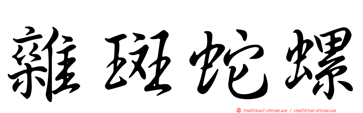 雜斑蛇螺