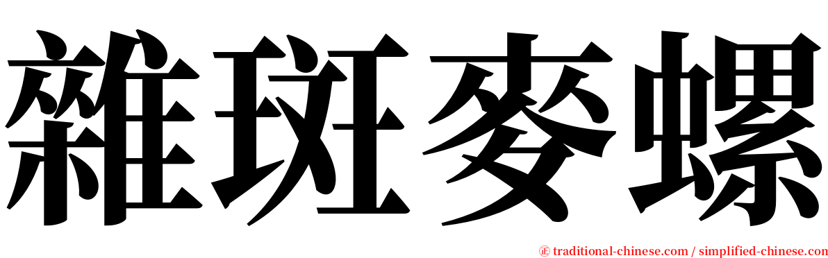 雜斑麥螺 serif font