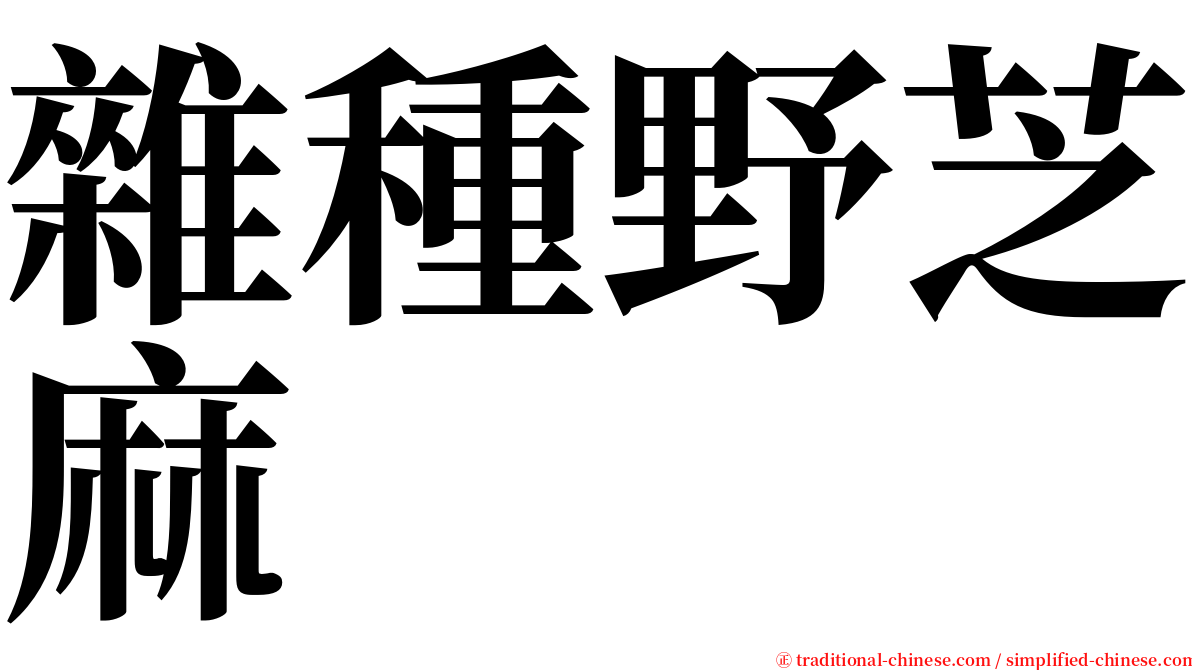 雜種野芝麻 serif font