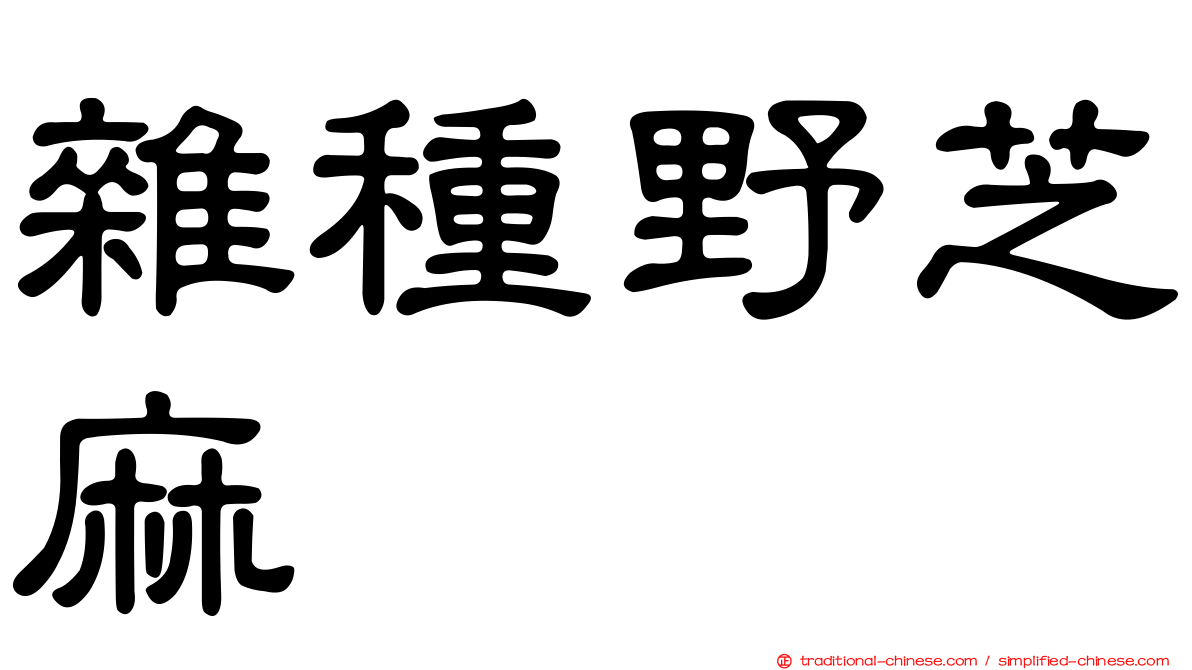 雜種野芝麻