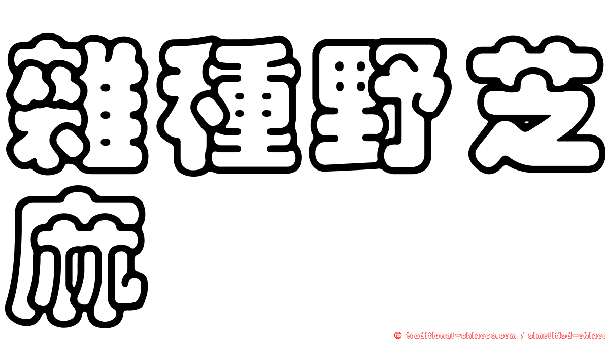 雜種野芝麻
