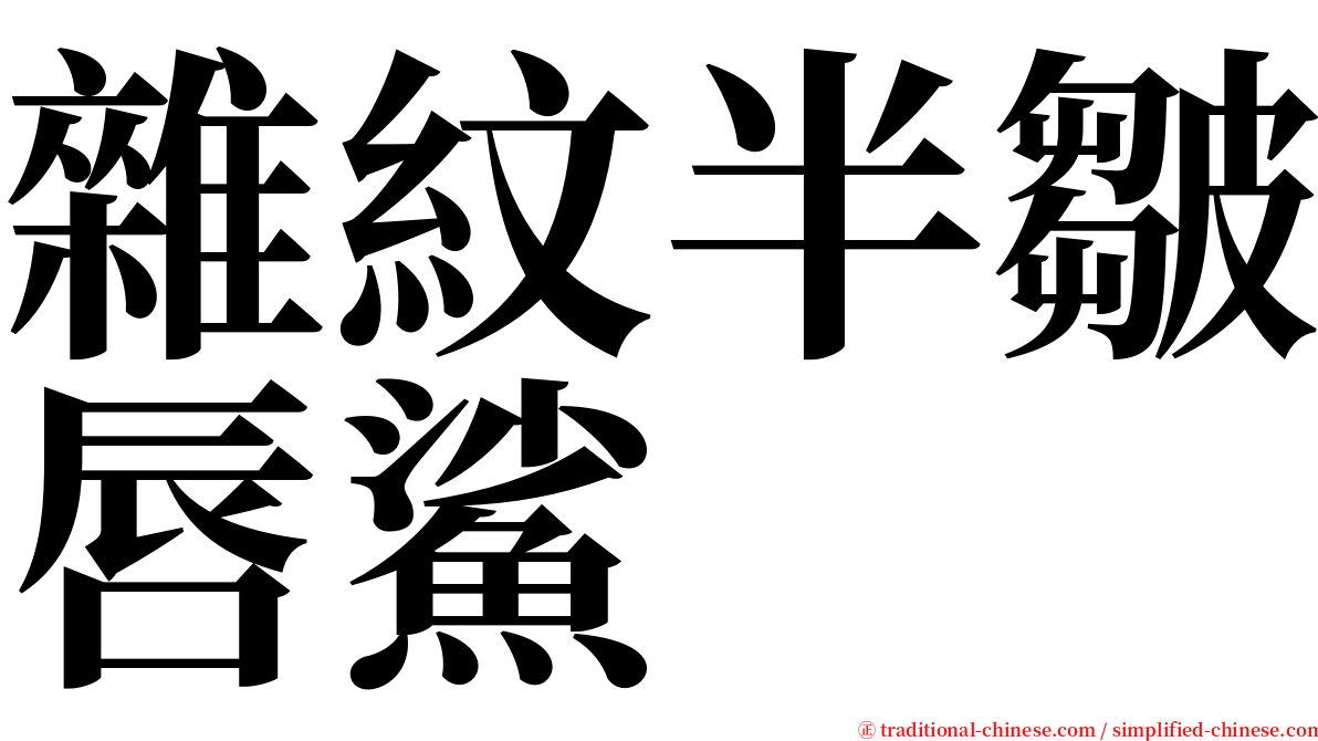 雜紋半皺唇鯊 serif font