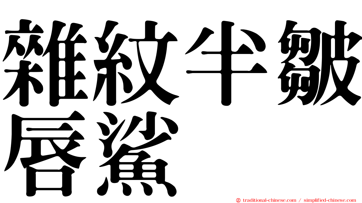 雜紋半皺唇鯊