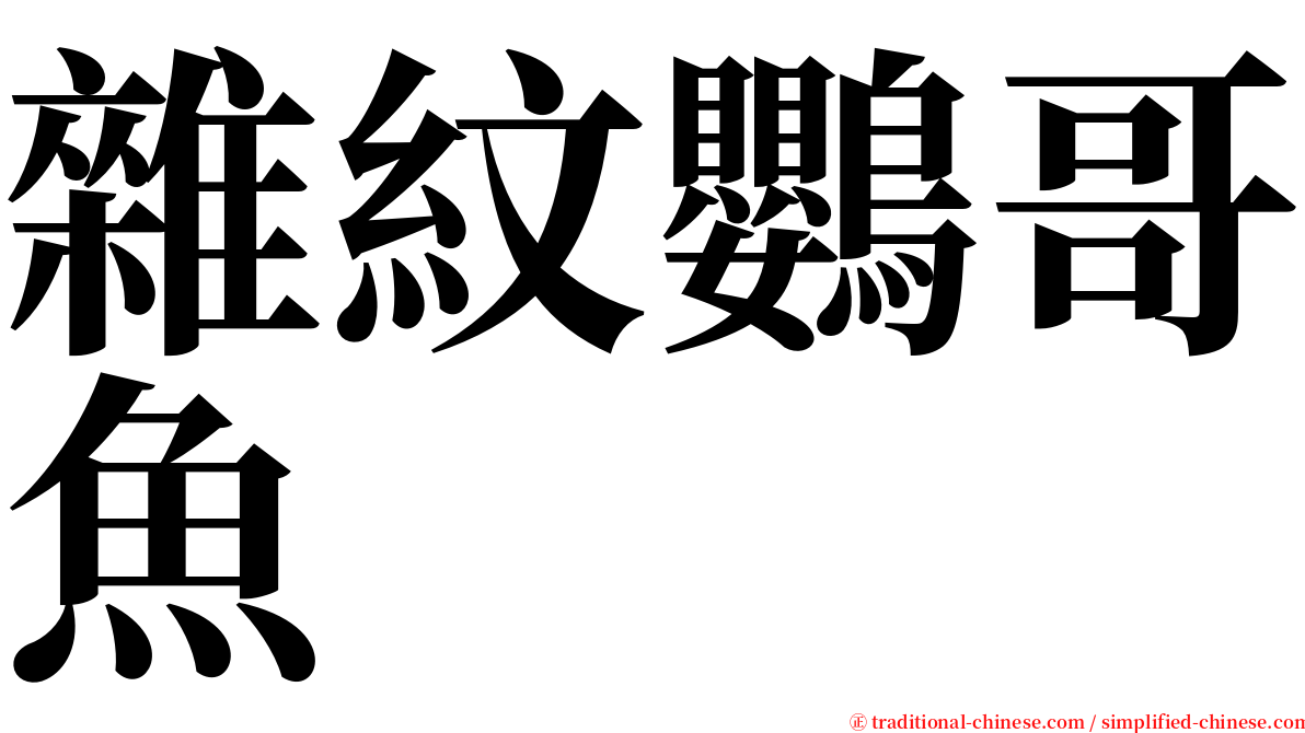 雜紋鸚哥魚 serif font