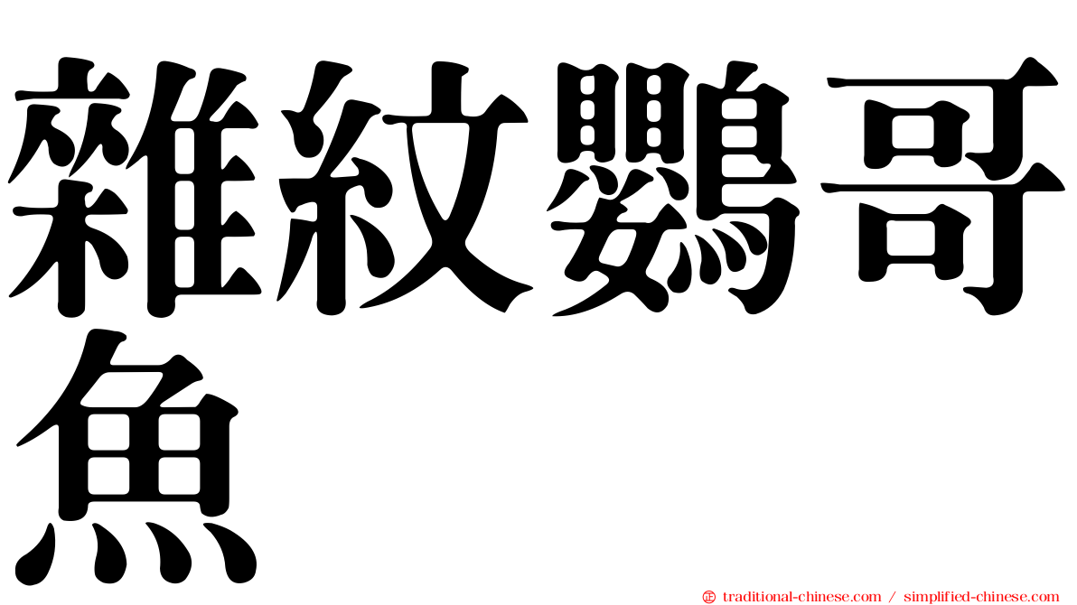 雜紋鸚哥魚