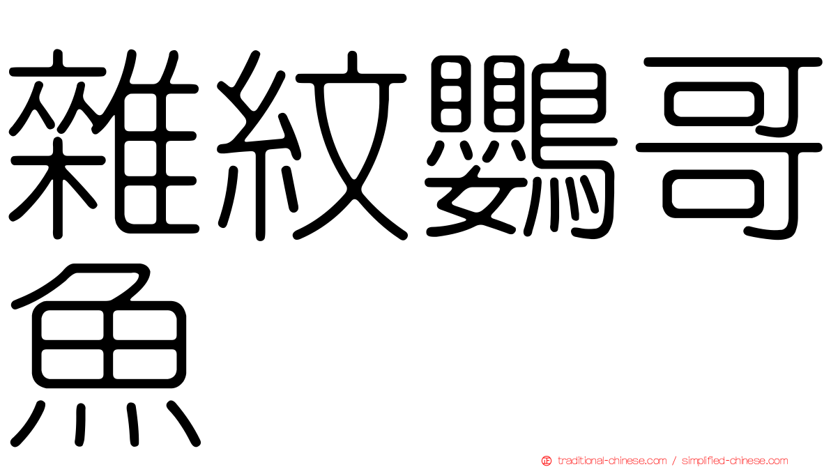 雜紋鸚哥魚