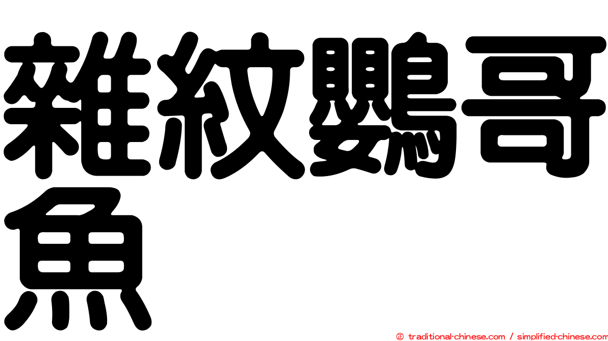 雜紋鸚哥魚