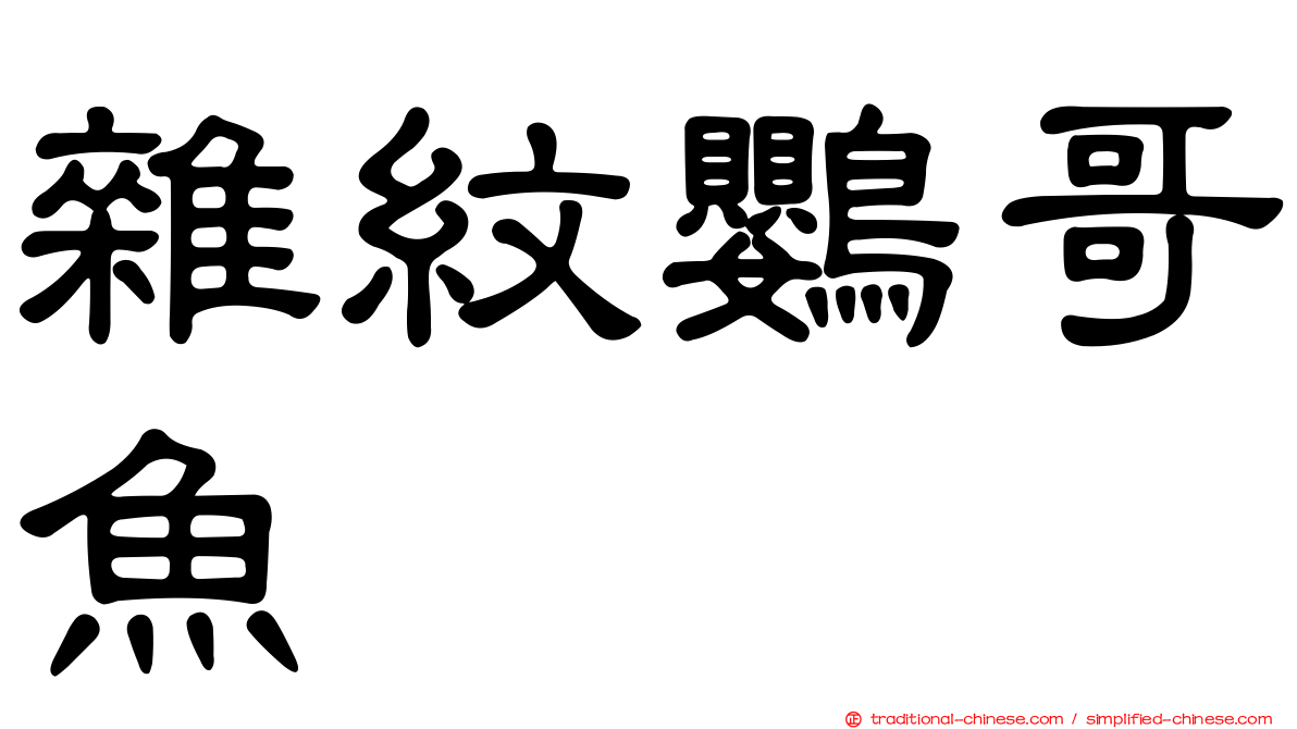 雜紋鸚哥魚