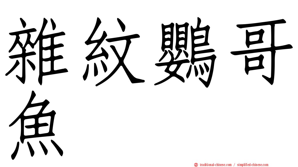 雜紋鸚哥魚
