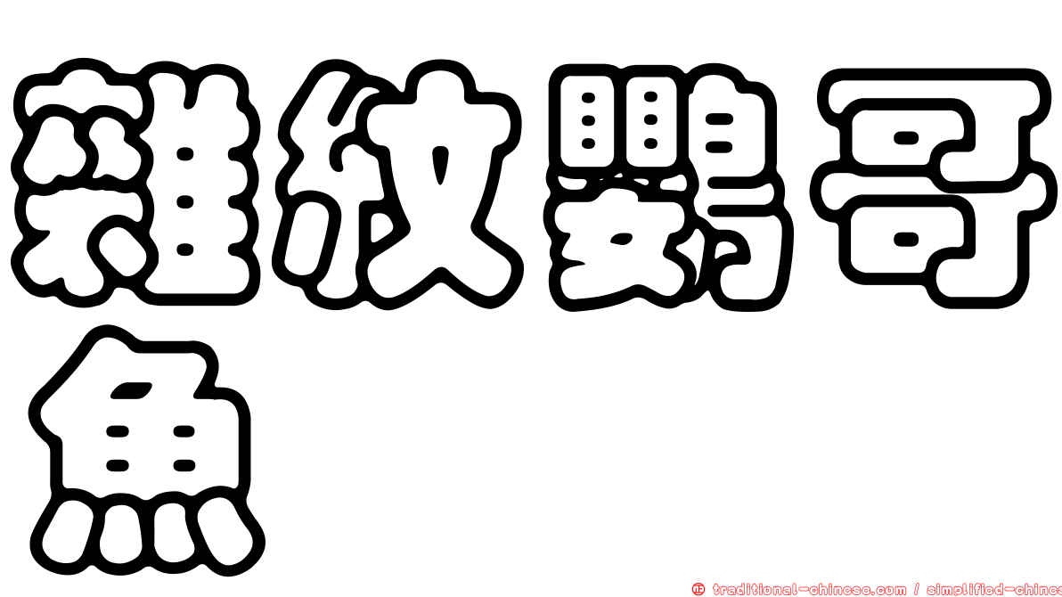 雜紋鸚哥魚