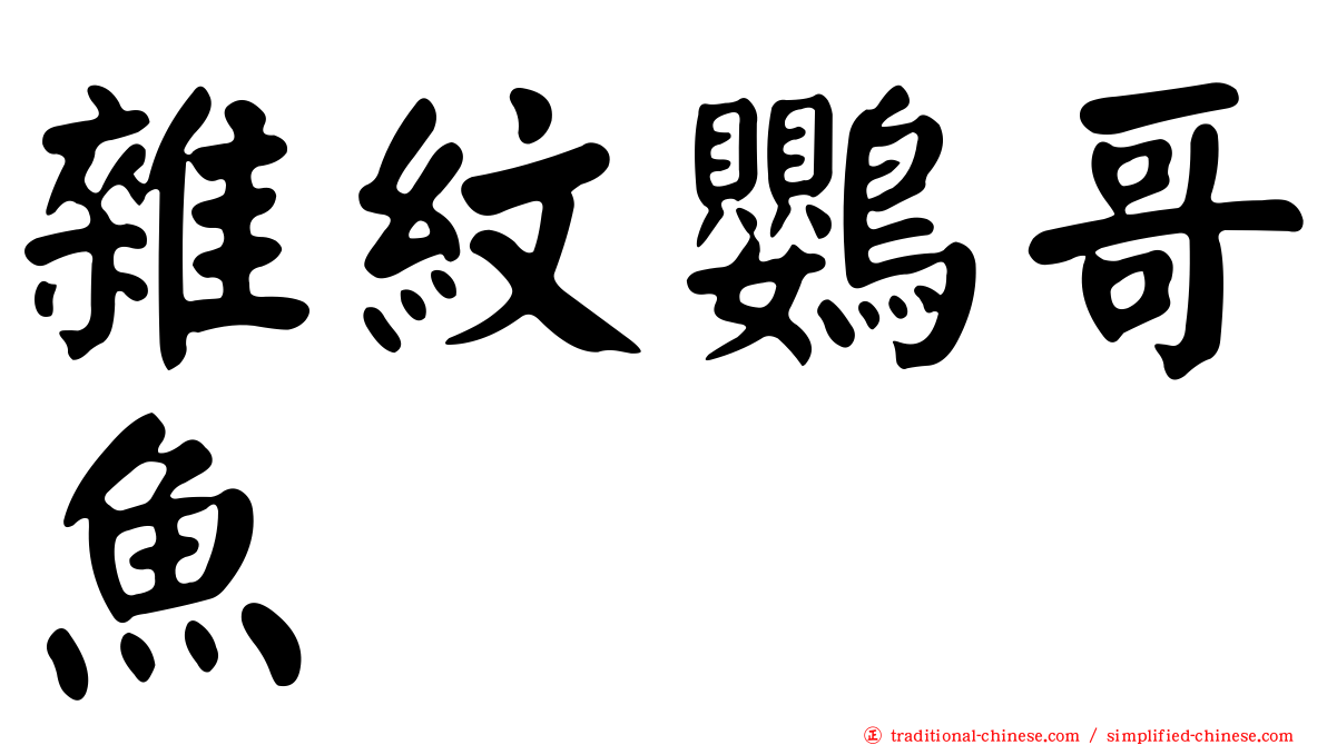 雜紋鸚哥魚
