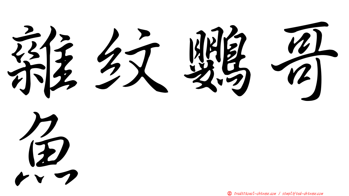 雜紋鸚哥魚