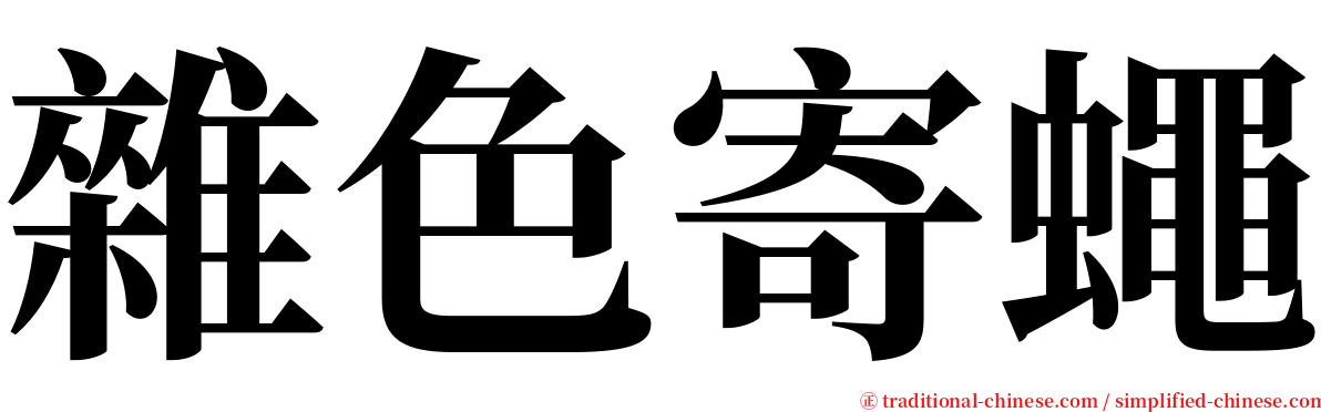 雜色寄蠅 serif font