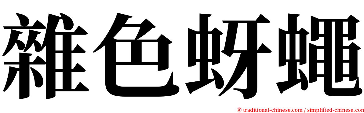 雜色蚜蠅 serif font