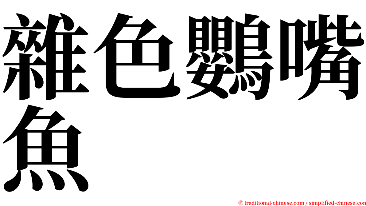 雜色鸚嘴魚 serif font