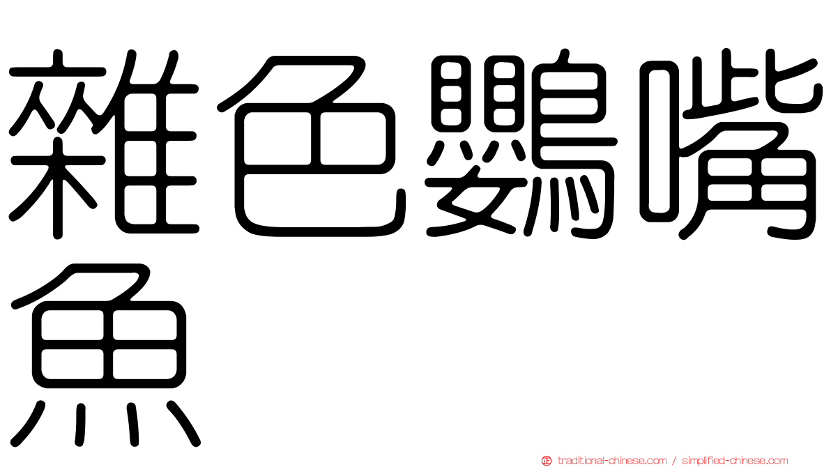 雜色鸚嘴魚