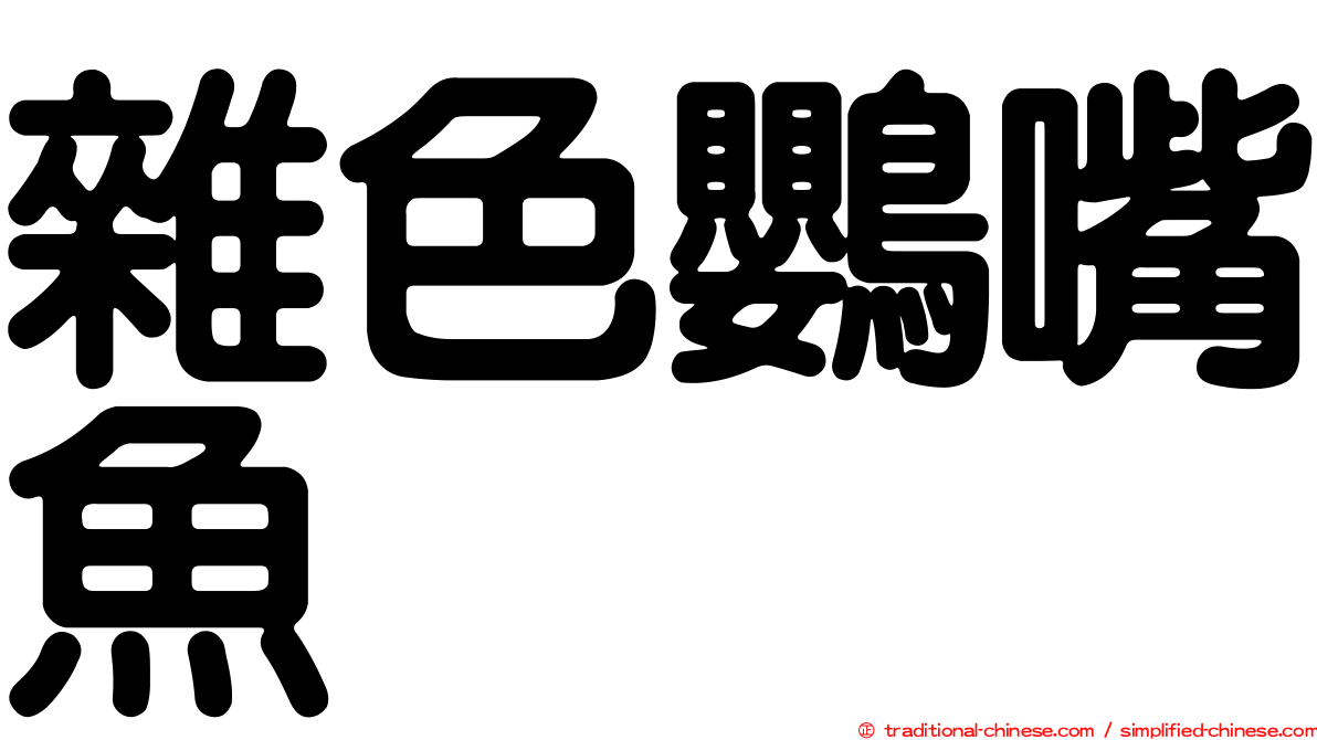 雜色鸚嘴魚