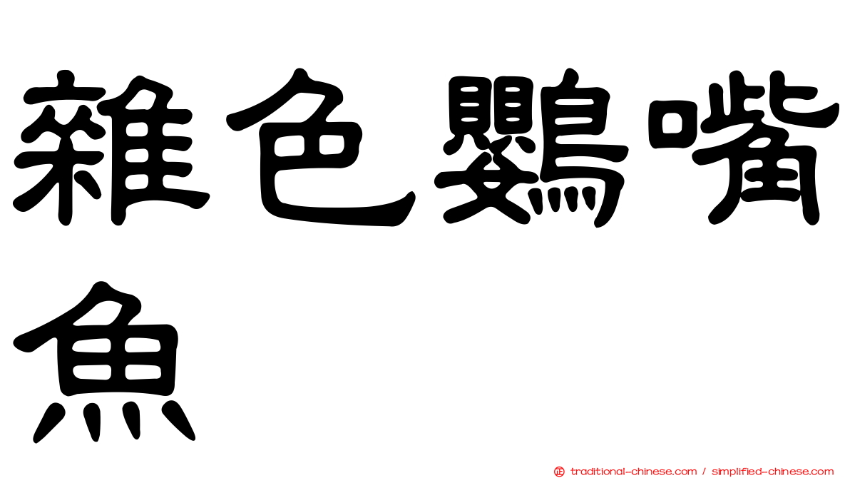 雜色鸚嘴魚