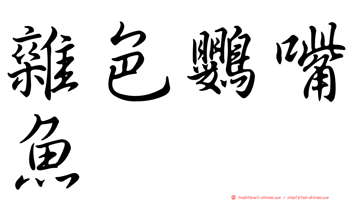 雜色鸚嘴魚