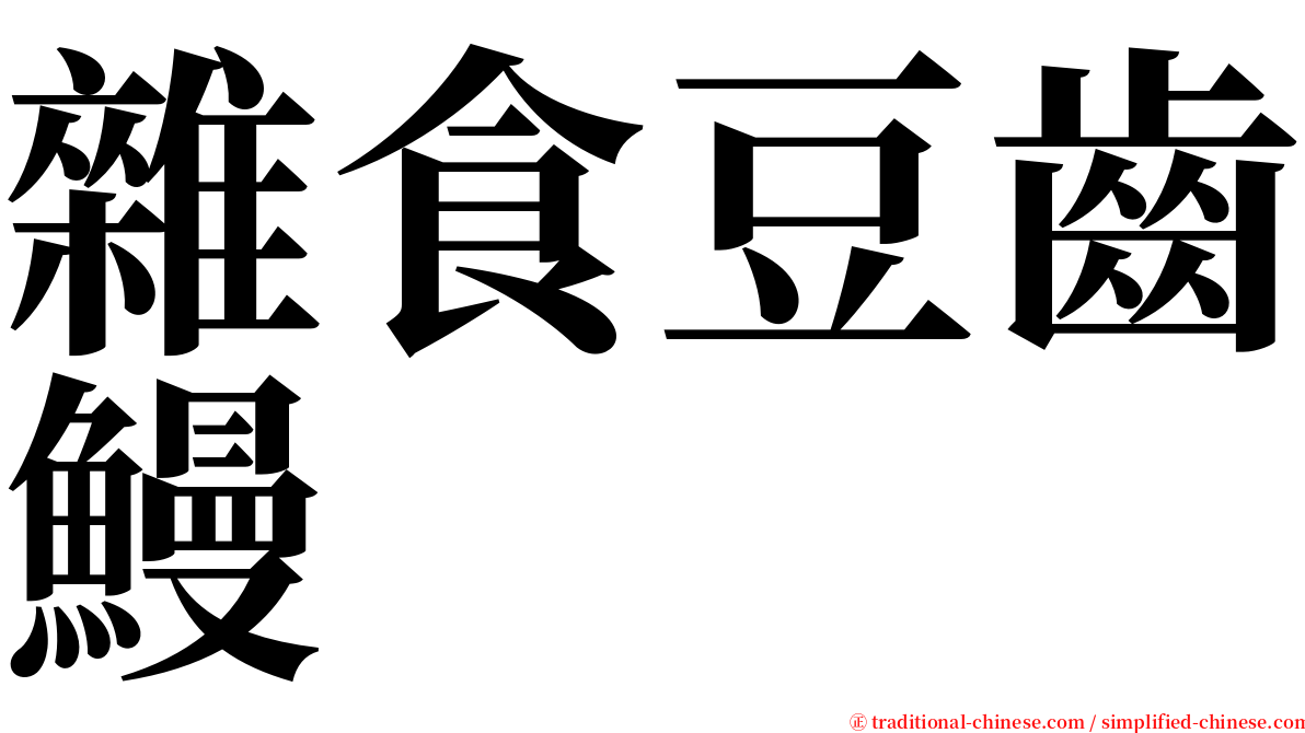 雜食豆齒鰻 serif font