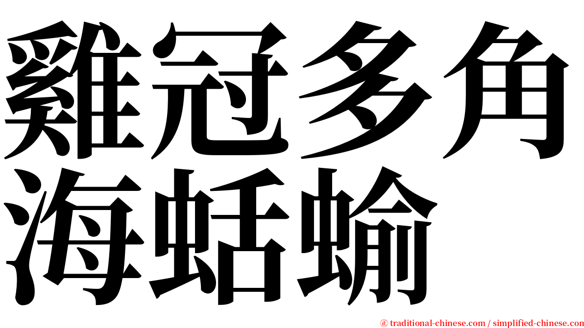 雞冠多角海蛞蝓 serif font